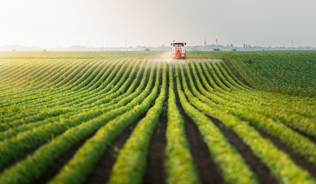 Why Do Farmers Use Ammonia Fertilizers?